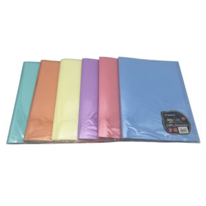 Carpeta de plástico A4